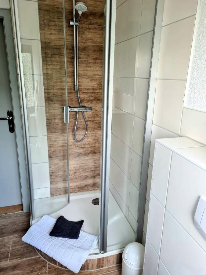 גוסלר Gp Ferienwohnung מראה חיצוני תמונה
