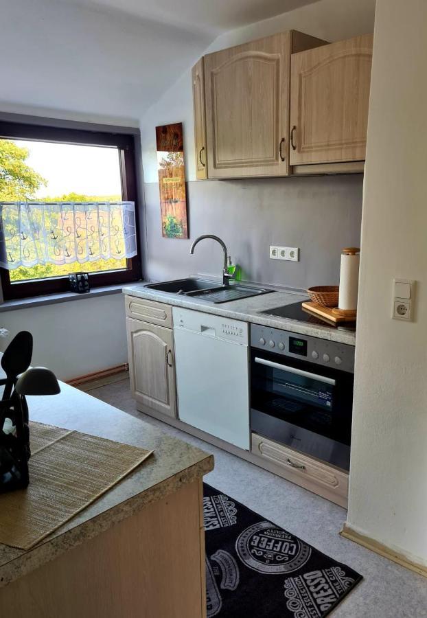 גוסלר Gp Ferienwohnung מראה חיצוני תמונה